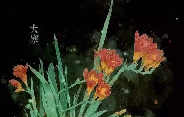 与24节气相对应的植物 与24节气相对应的植物