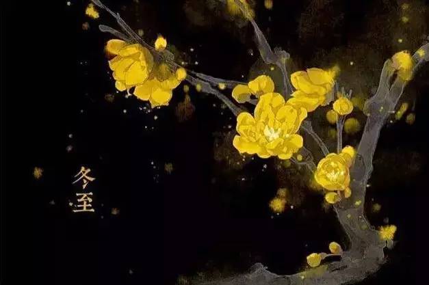 与24节气相对应的植物 与24节气相对应的植物