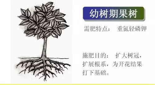 不知道怎么给植物施肥?超全的肥料知识建议收藏! 不知道怎么给植物施肥?超全的肥料知识建议收藏!