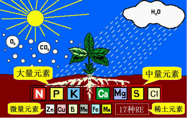 不知道怎么给植物施肥?超全的肥料知识建议收藏! 不知道怎么给植物施肥?超全的肥料知识建议收藏!