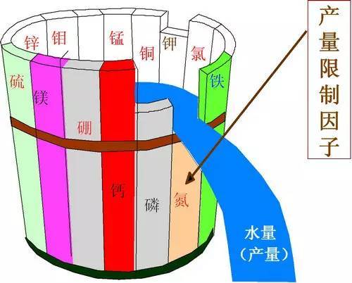 不知道怎么给植物施肥?超全的肥料知识建议收藏! 不知道怎么给植物施肥?超全的肥料知识建议收藏!