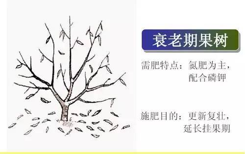 不知道怎么给植物施肥?超全的肥料知识建议收藏! 不知道怎么给植物施肥?超全的肥料知识建议收藏!
