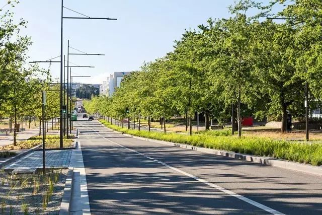 九个国外沿街道路景观案例