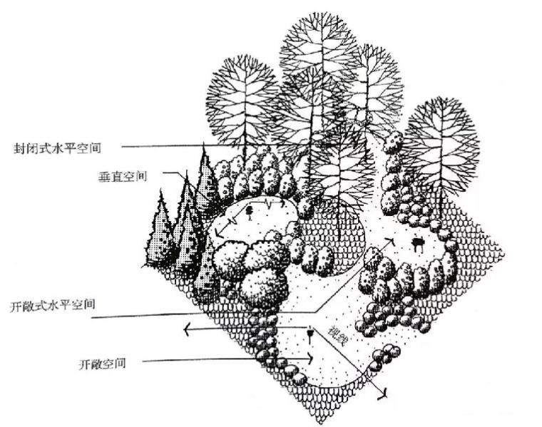 景观植物设计技巧