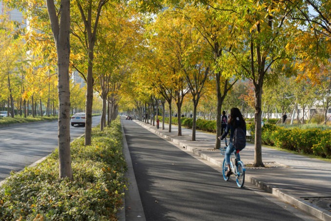 徐汇跑道公园|中国大陆首个跑道改建项目