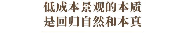 如何使用低成本打造高效的景观 如何使用低成本打造高效的景观