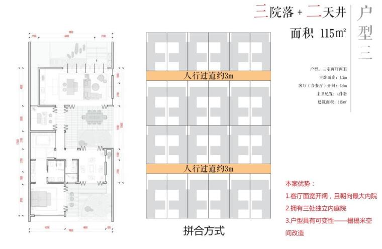 绿地国际旅游康养小镇景观规划文本