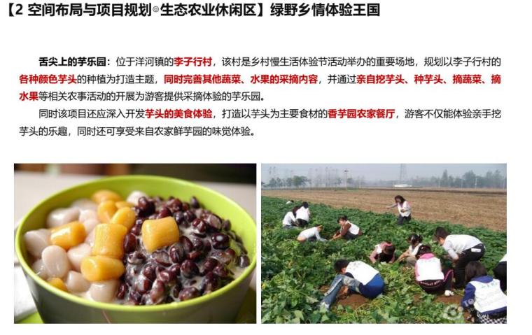 青岛市洋河镇乡村旅游规划文本 青岛市洋河镇乡村旅游规划文本