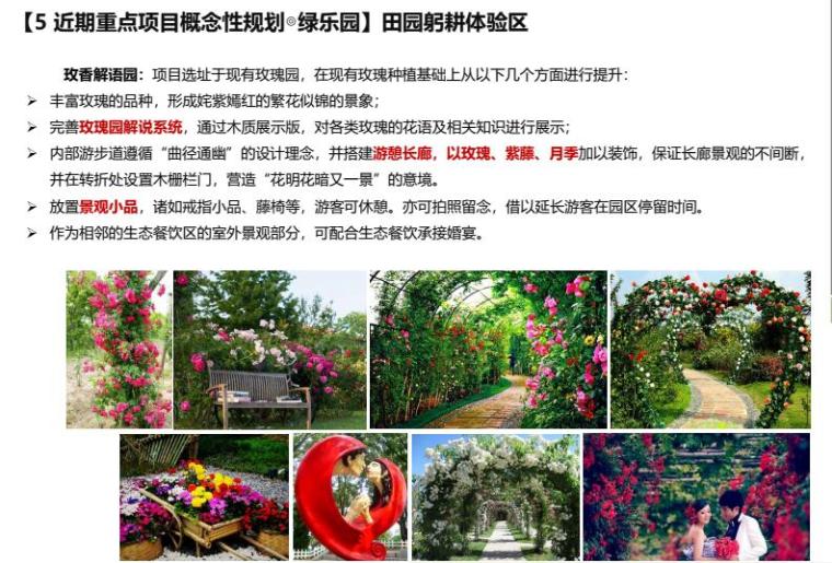 青岛市洋河镇乡村旅游规划文本 青岛市洋河镇乡村旅游规划文本
