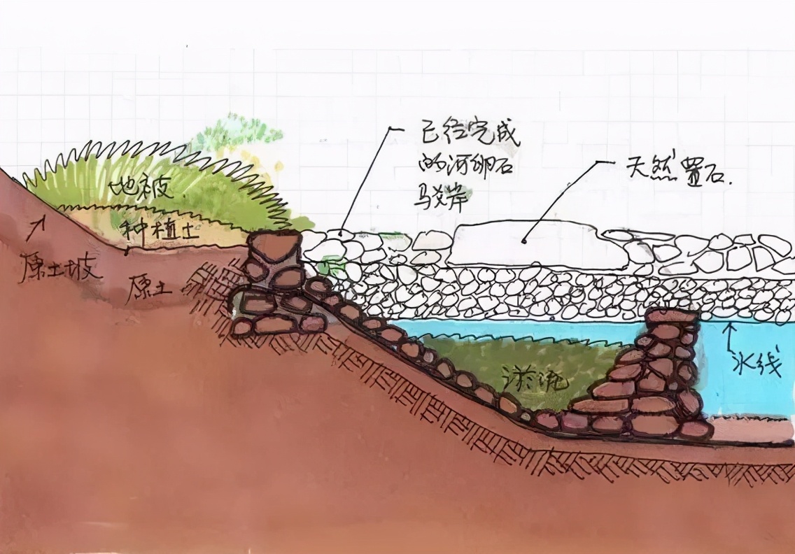 庭院景观-池畔