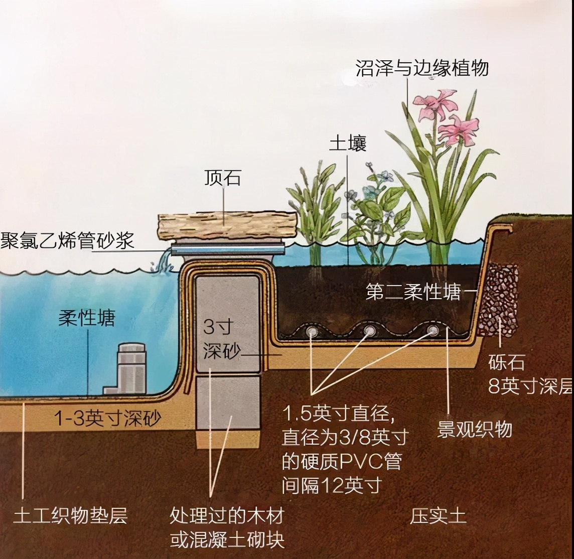 庭院景观-池畔