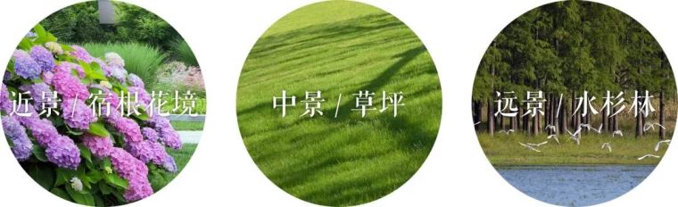 植物营造的景观空间适时收放,拒绝喧宾夺主 植物营造的景观空间适时收放,拒绝喧宾夺主