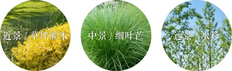 植物营造的景观空间适时收放,拒绝喧宾夺主 植物营造的景观空间适时收放,拒绝喧宾夺主