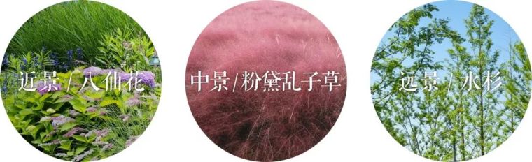 植物营造的景观空间适时收放,拒绝喧宾夺主 植物营造的景观空间适时收放,拒绝喧宾夺主