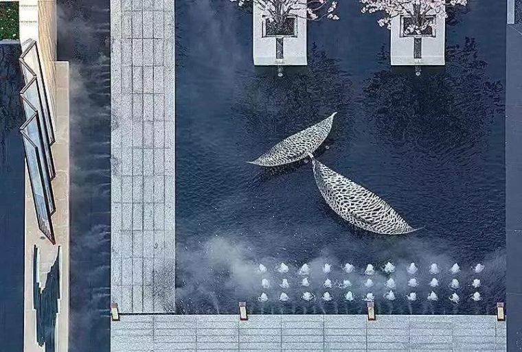 162641bepivpttg2d5wapy