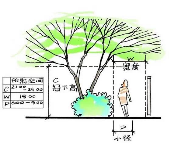 景观花园细部打造技巧及植物配置详解-灵感屋