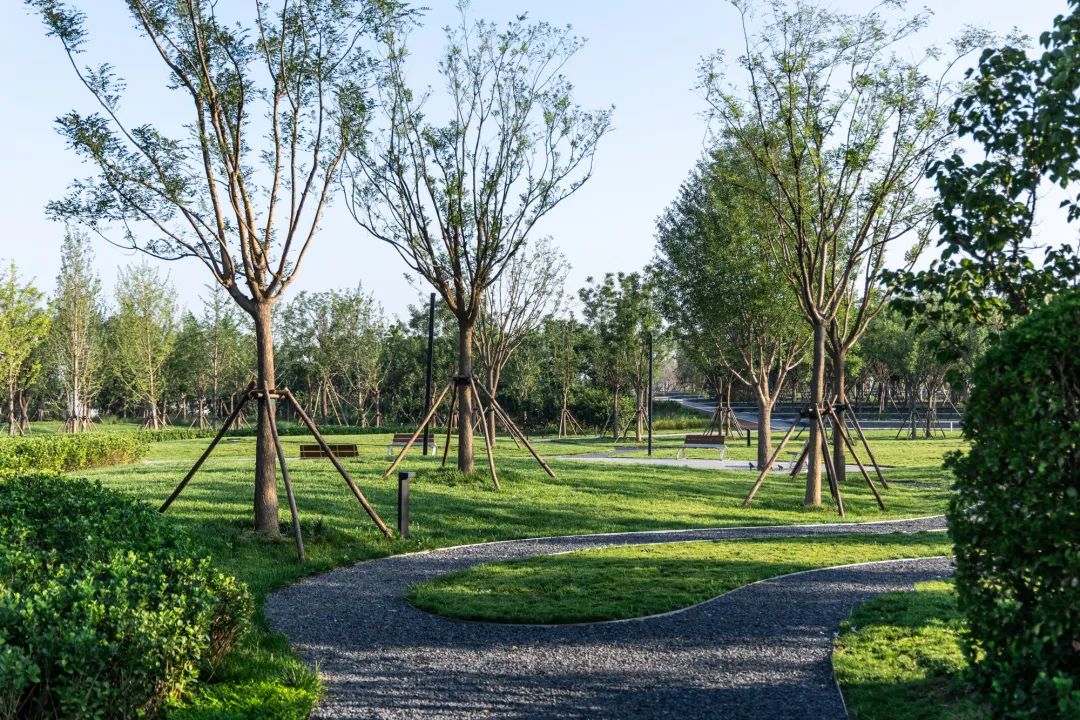 144815cg0m6iuff7c79zbc 144815cg0m6iuff7c79zbc