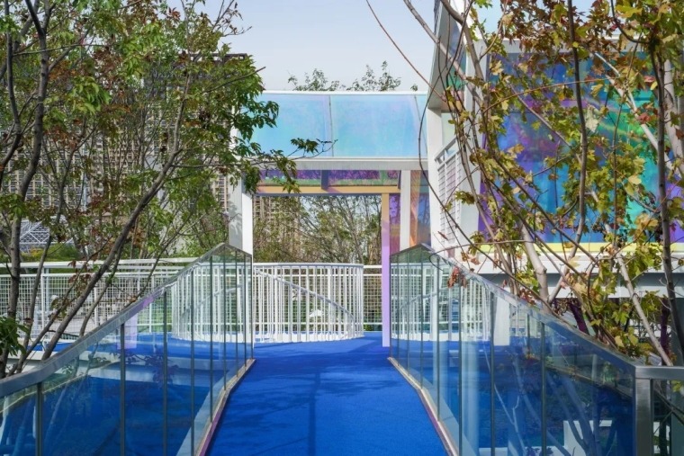 1635156474909085 1635156474909085