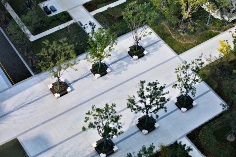 1637574842971744 1637574842971744