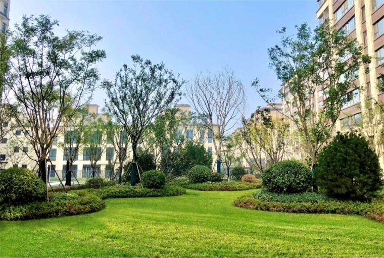 1637574843874039 1637574843874039