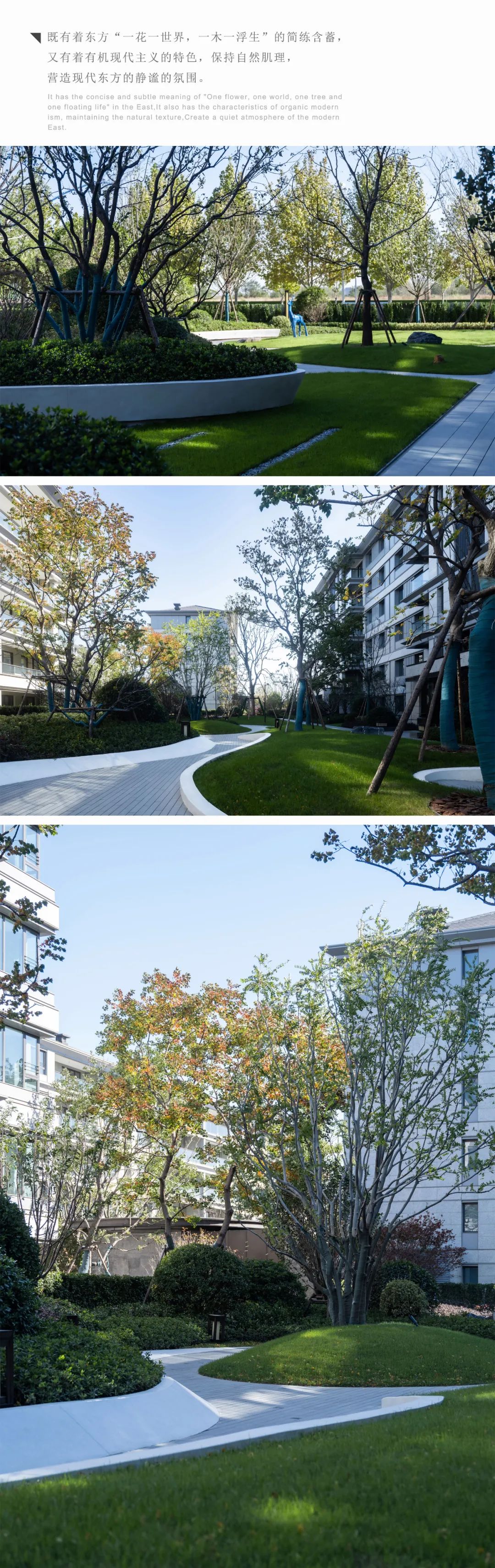 1602163ioka5fsrg3kclif