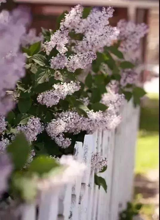 141916ynhrjcxmbfeubbkj 141916ynhrjcxmbfeubbkj