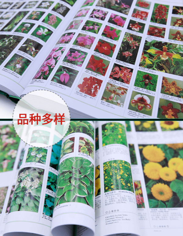 图片[3]-世界园林植物与花卉百科全书-灵感屋