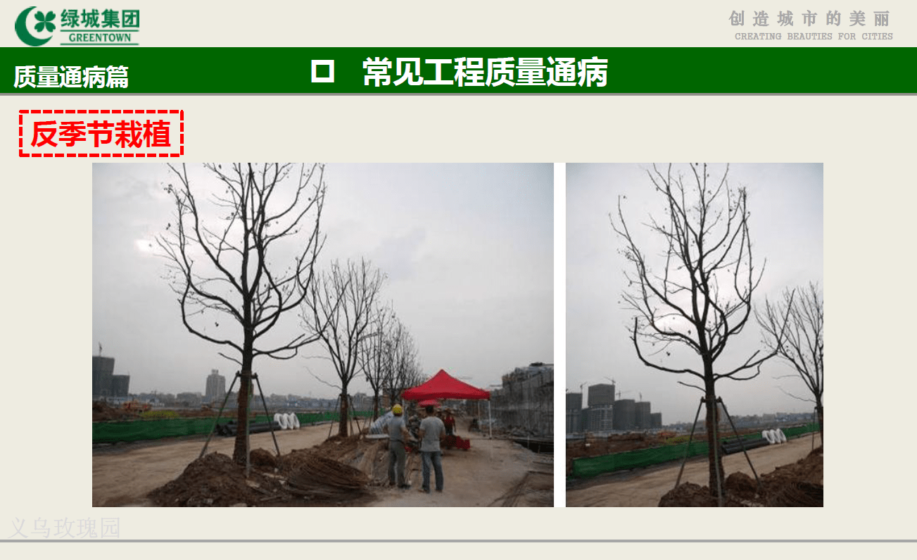 图片[6]-绿城景观工程营造管控技术交流-灵感屋