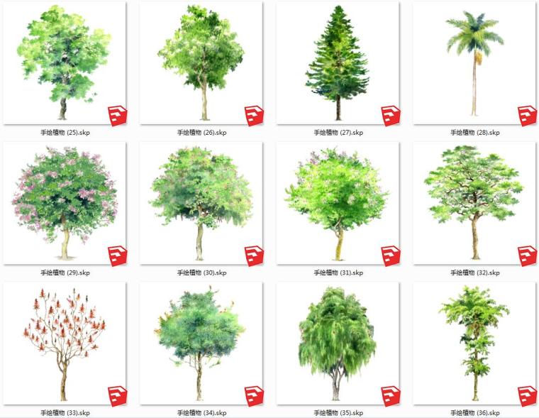 园林植物手绘乔木SU模型素材-灵感屋