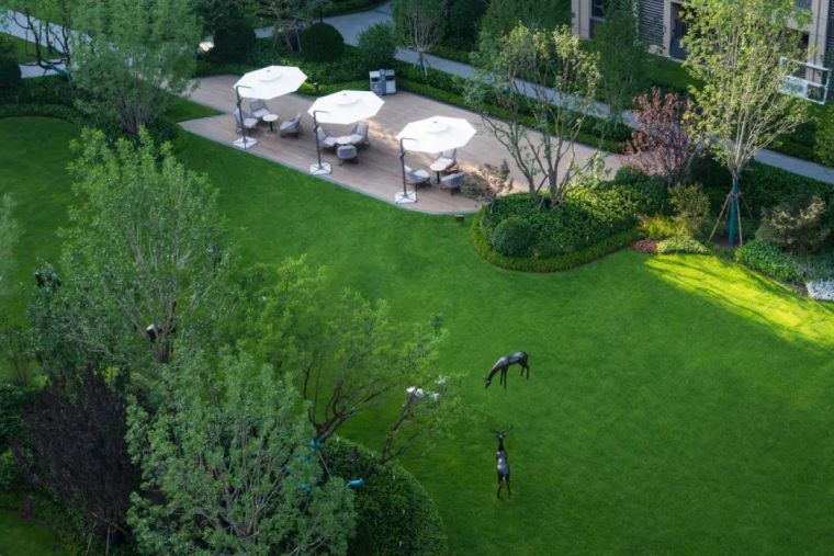 1659343821619957 1659343821619957