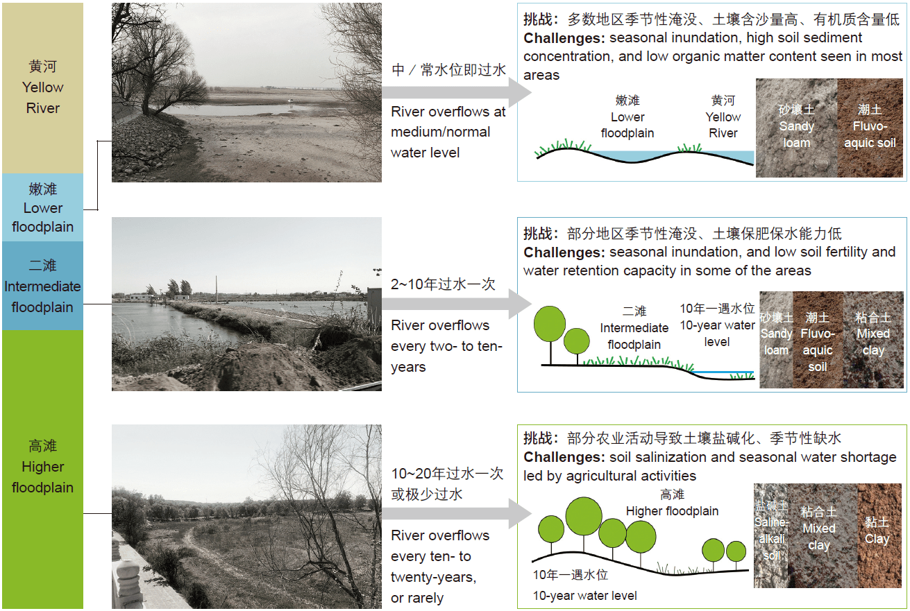 郑州黄河滩区生态修复模式探索 | 土人设计-灵感屋