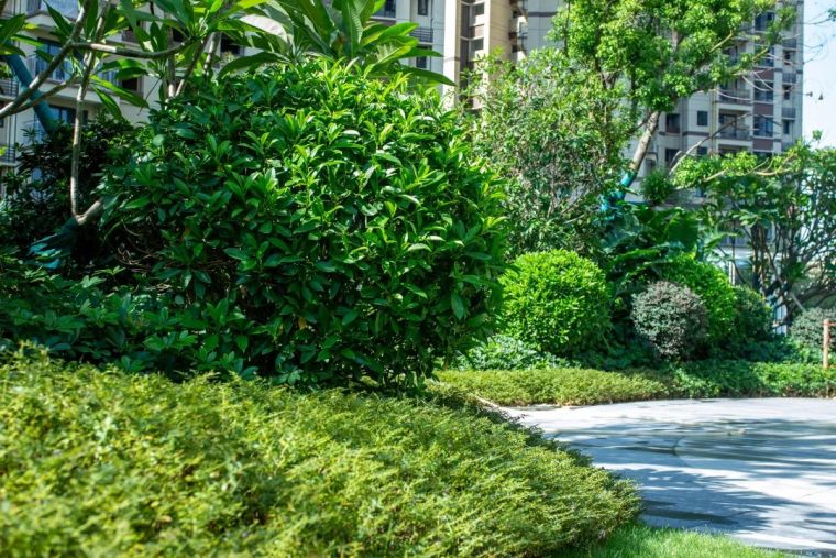 1671184672519009 1671184672519009