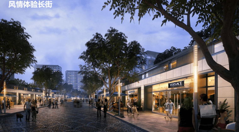 威海·南海医养小镇规划文本-灵感屋