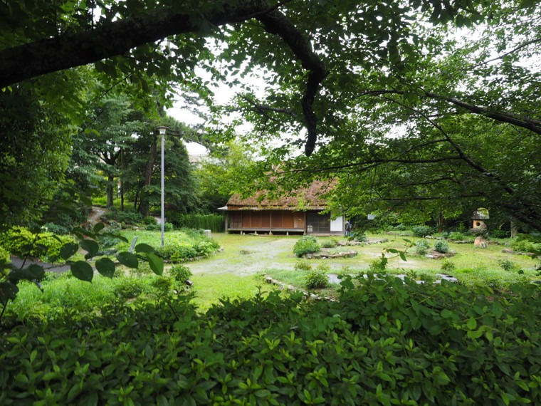 日本常盤公园牡丹苑-灵感屋