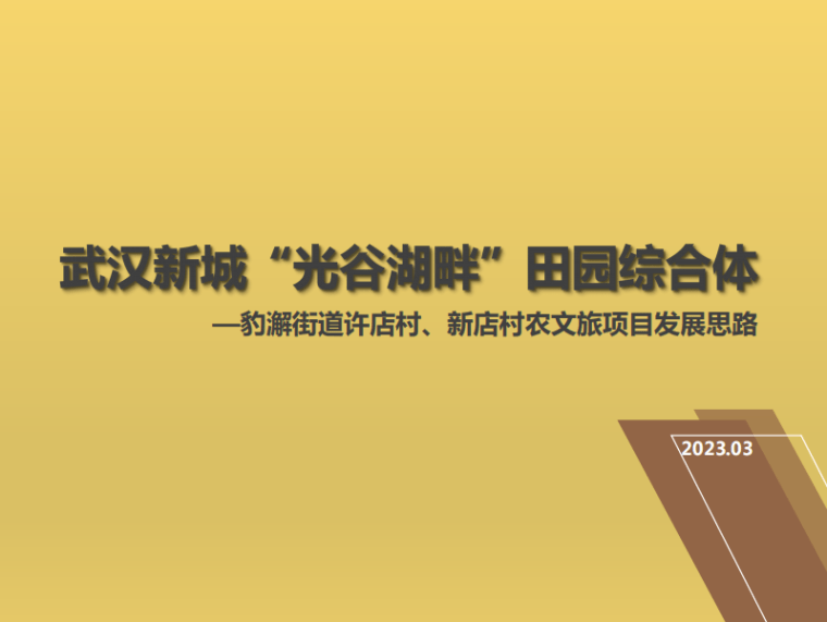 武汉新城光谷湖畔田园综合体项目发展思路-灵感屋