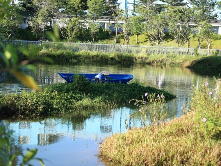 未来先行示范区沙井中心湿地公园-灵感屋