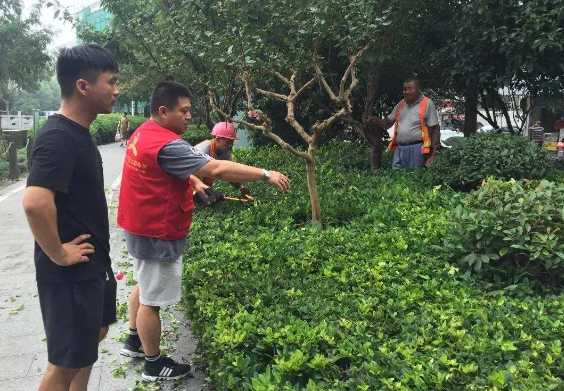 怎么提高园林植物成活率？-灵感屋