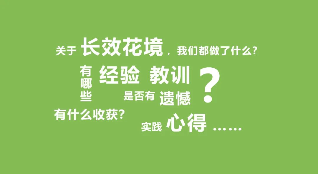 通过案例分析花境打造的思路-灵感屋