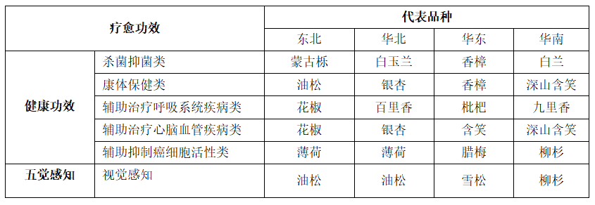 如何打造不同场景的疗愈植物空间？-灵感屋