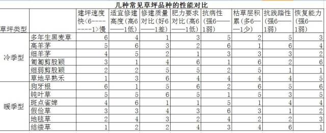 草坪的品种及性能对比-灵感屋