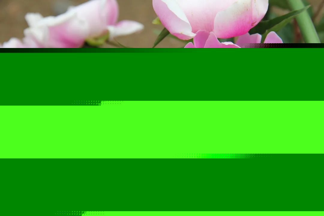 640-45