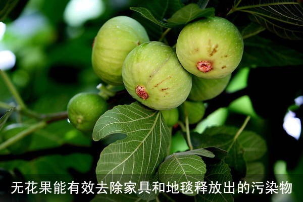 234149rlnbwr74tuipxmwc