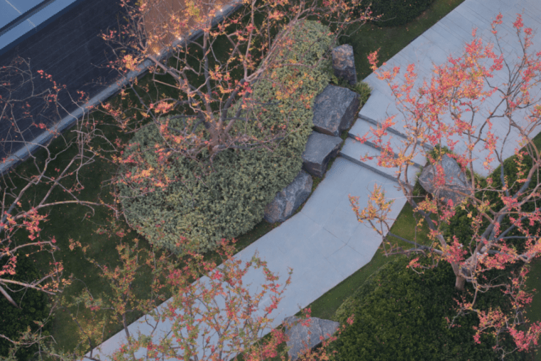 085618bt8xfrzrm91ltu54.png.thumb_