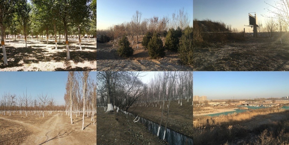081647lw3l1s36lgxnhcwk