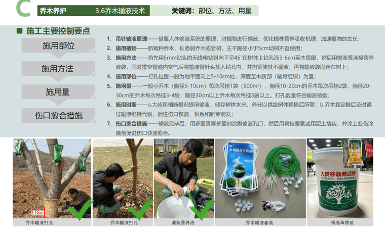 现代中建园林景观施工工艺方案文本（软景篇）-灵感屋