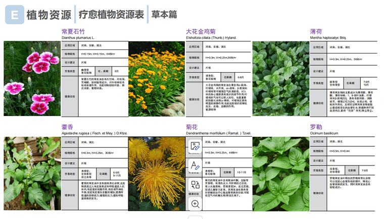 远洋集团疗愈植物研发标准化方案文本-灵感屋