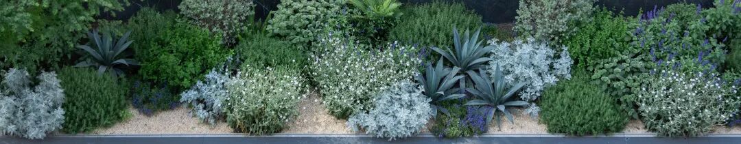 花境设计如何成为地产景观的突围关键？探索低成本高美感的花境艺术-灵感屋