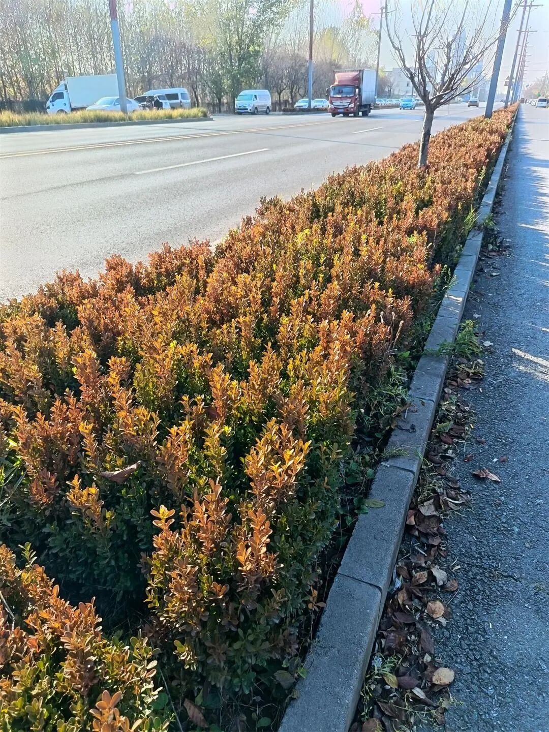 IMG_20251111_133847.jpg IMG_20251111_133847.jpg