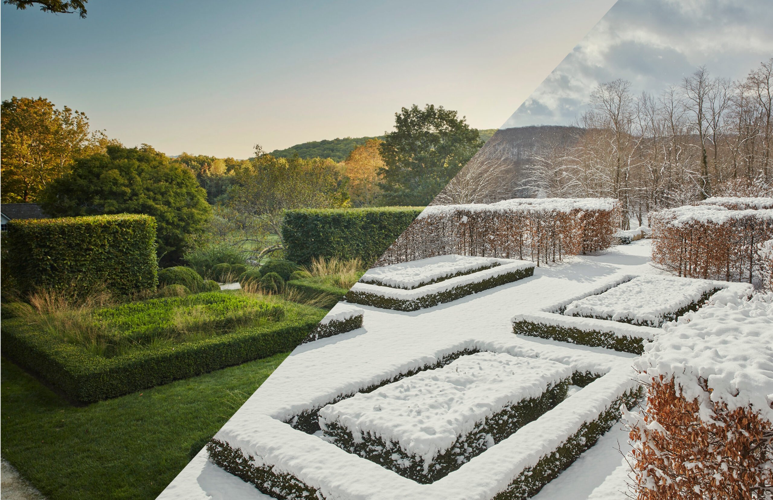 为景观增添冬季趣味的方法-灵感屋