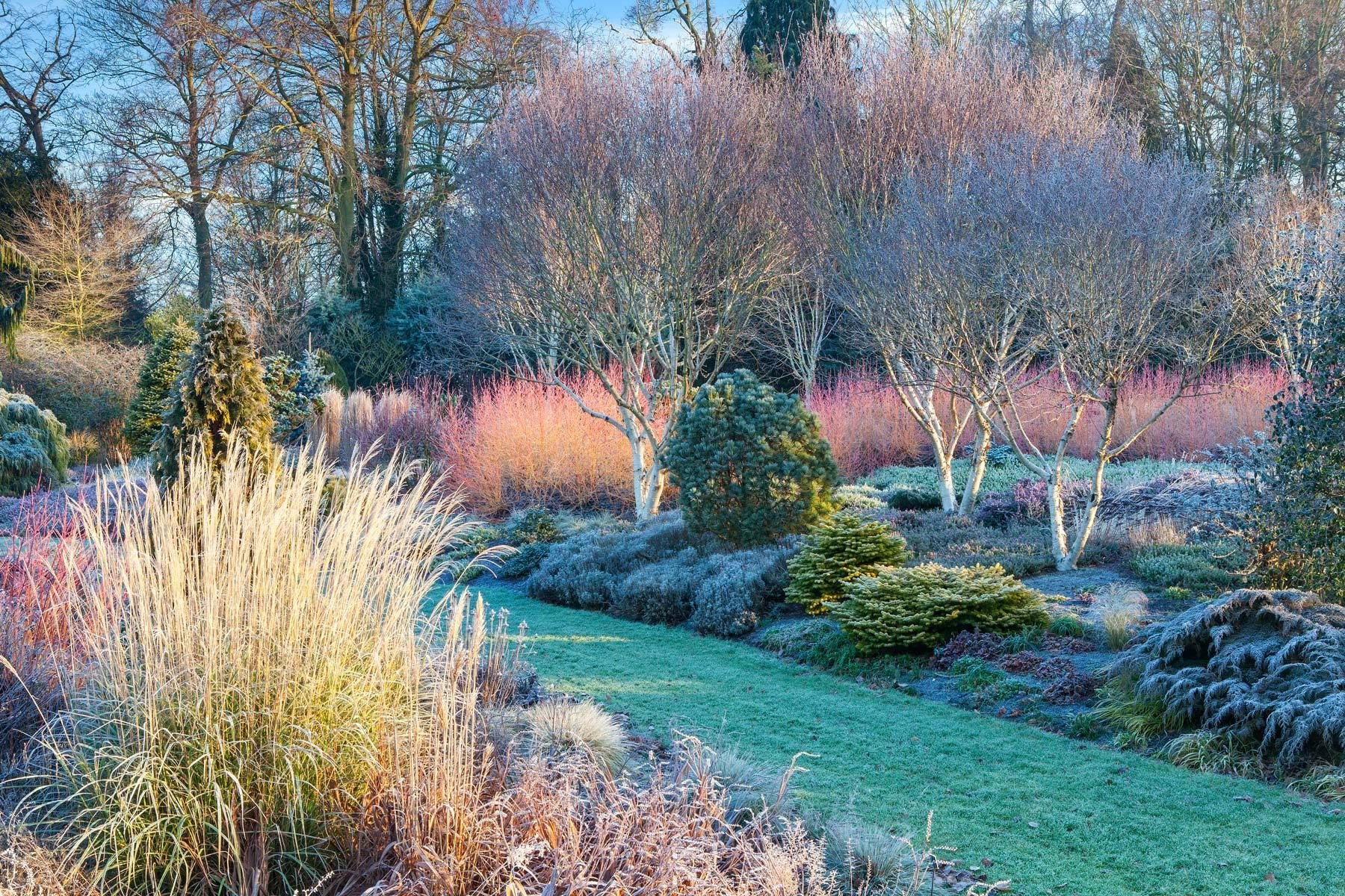 图片[3]-为景观增添冬季趣味的方法-灵感屋